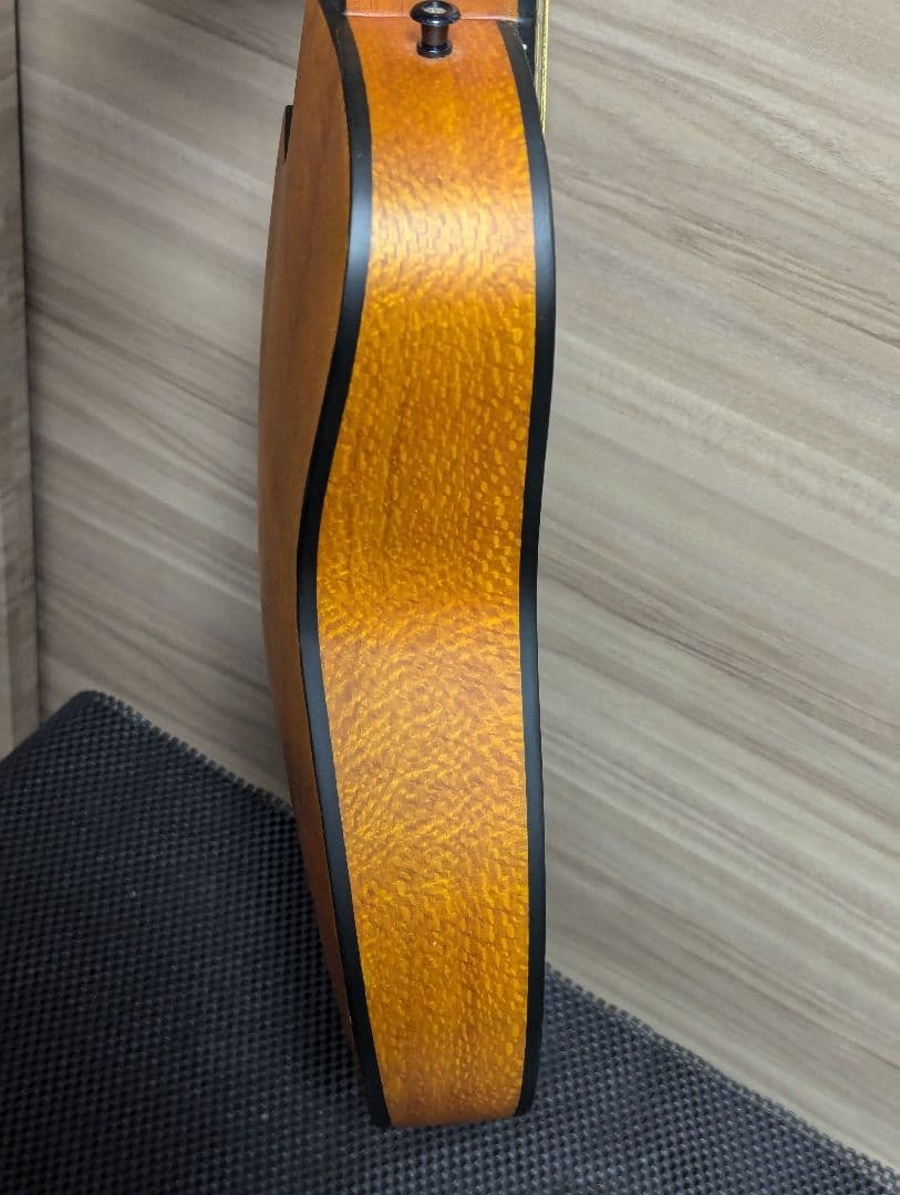 Traveler Guitar CS-10 ミニギター イングルマンスプルース