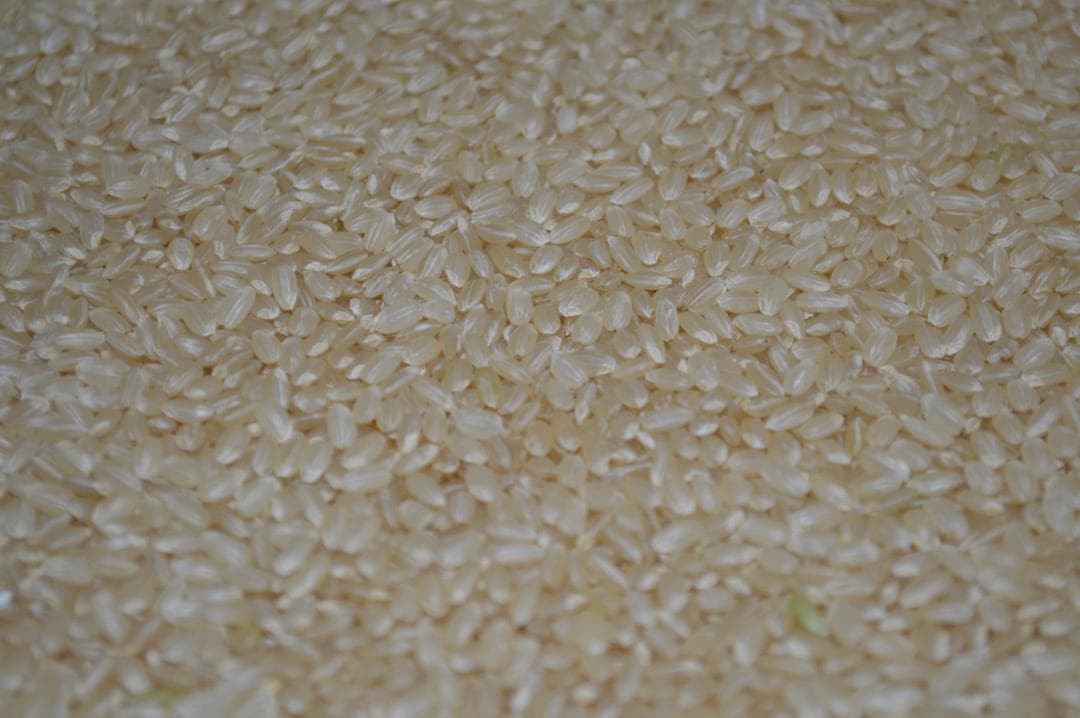 奇蹟の米「ゆうだい21」　玄米30㎏　格安販売　(送料無料)