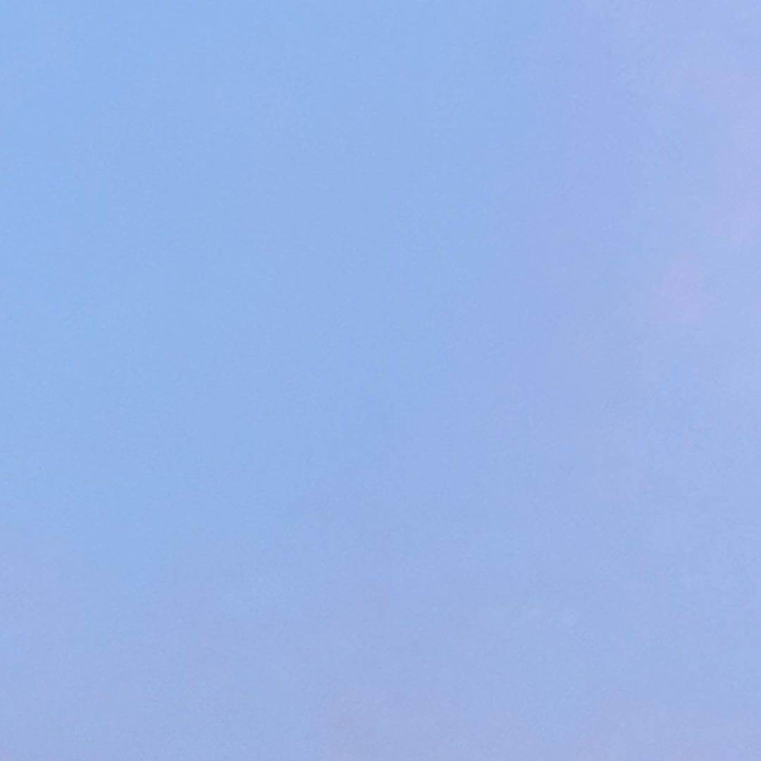 犬服　専用ページ