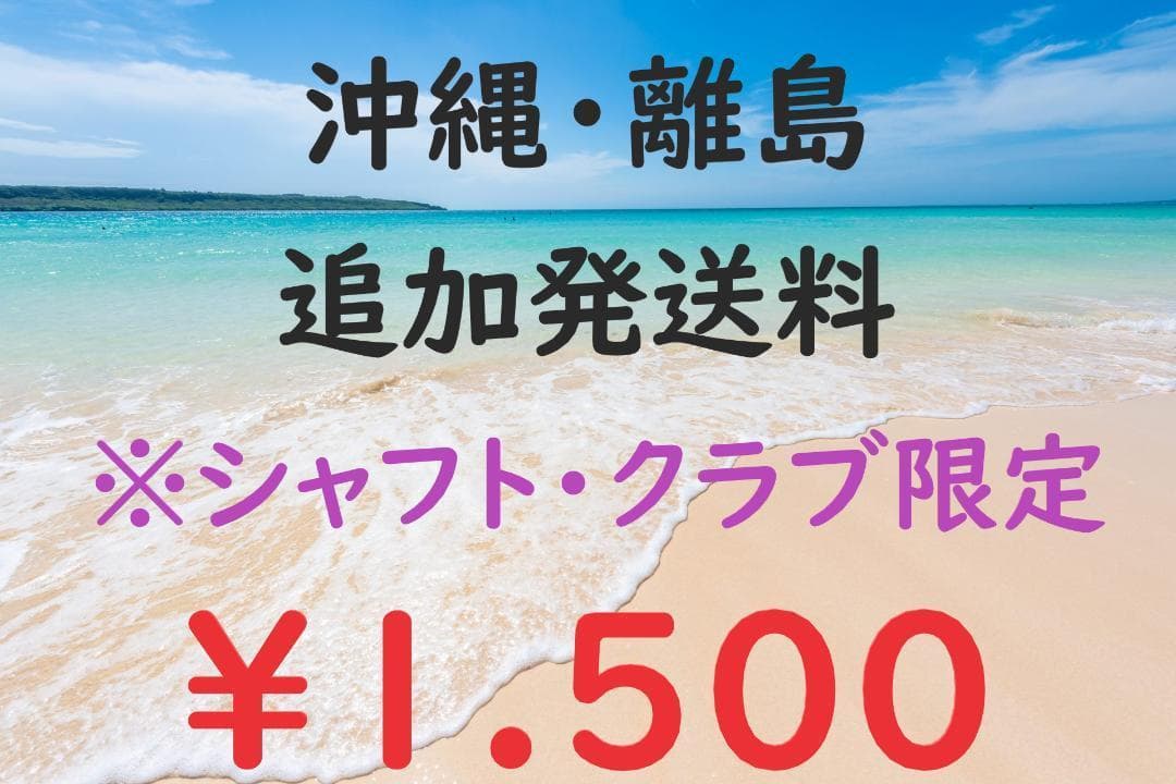 新品テーラーメイド Spider ZT 33インチ 日本仕様 ゼロトルク