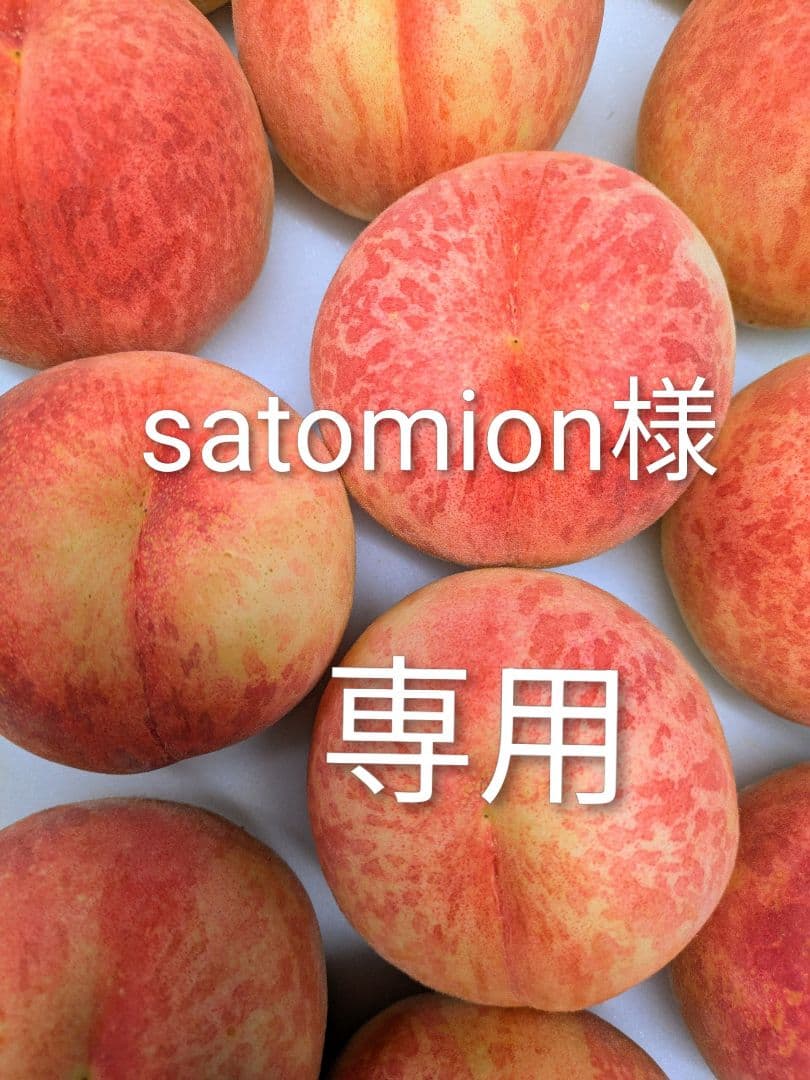 satomion 同梱