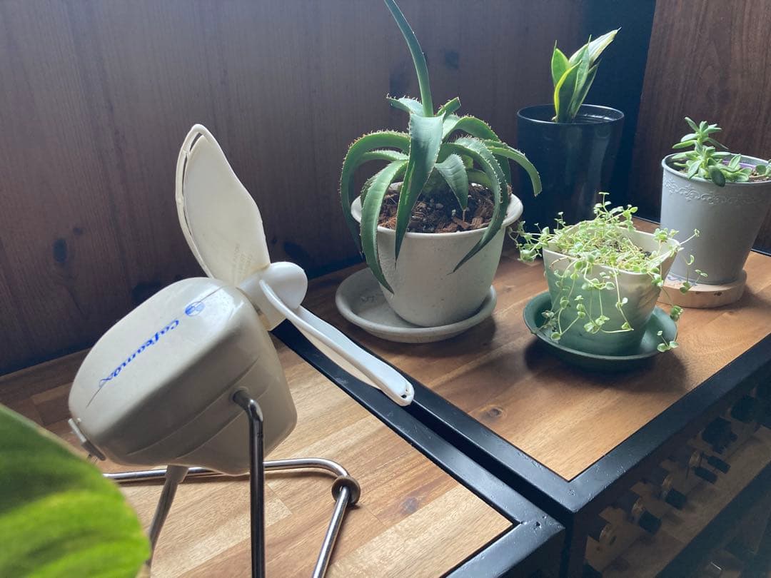 【ヴィンテージ】Caframo 707 カナダ製 卓上扇風機　観葉植物用にも