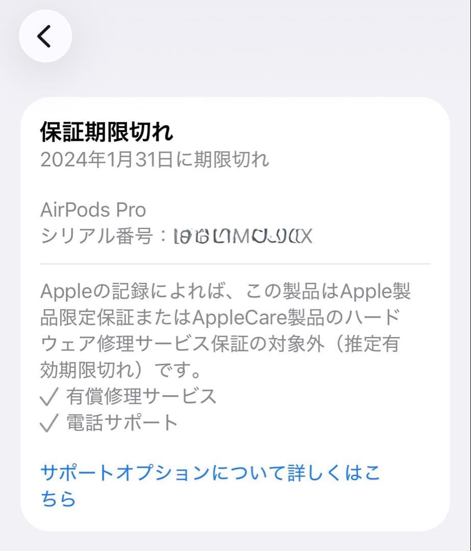 AirPods Pro 第二世代 刻印あり