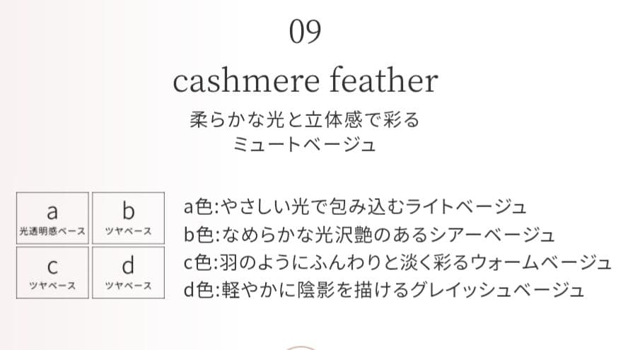 【新品未開封】コスメデコルテ　スキンシャドウ デザイニング パレット 09