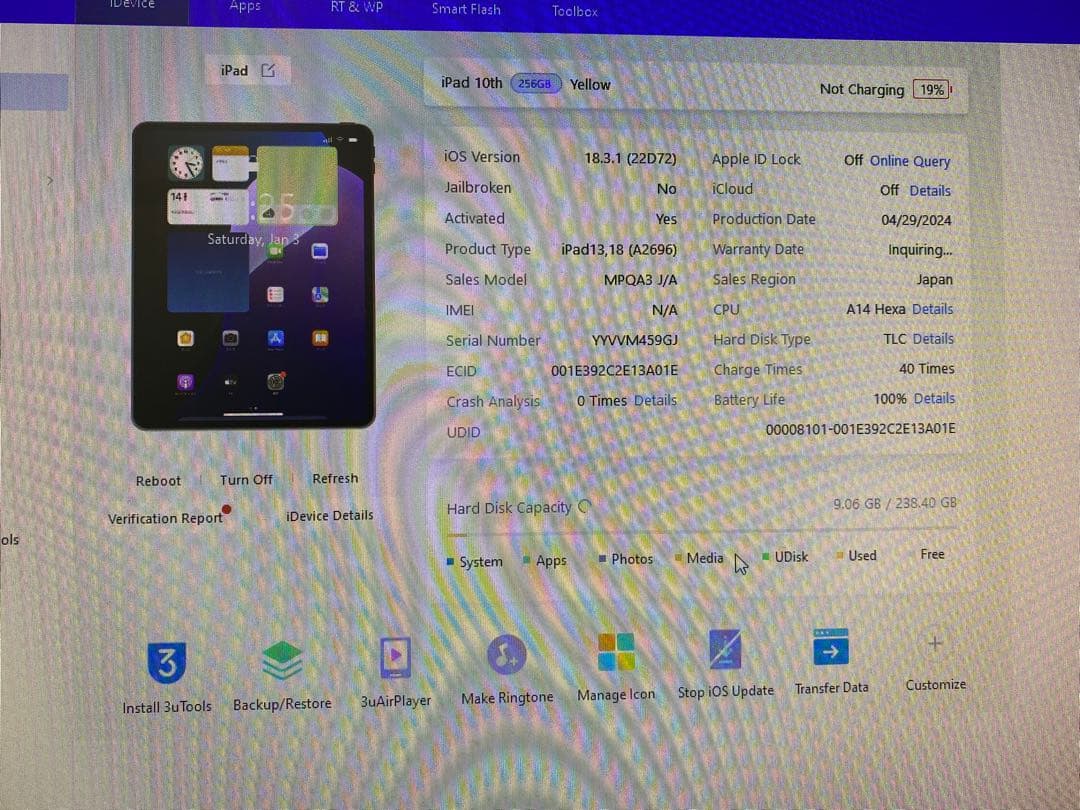 iPad 第10世代 256GB 459GJ