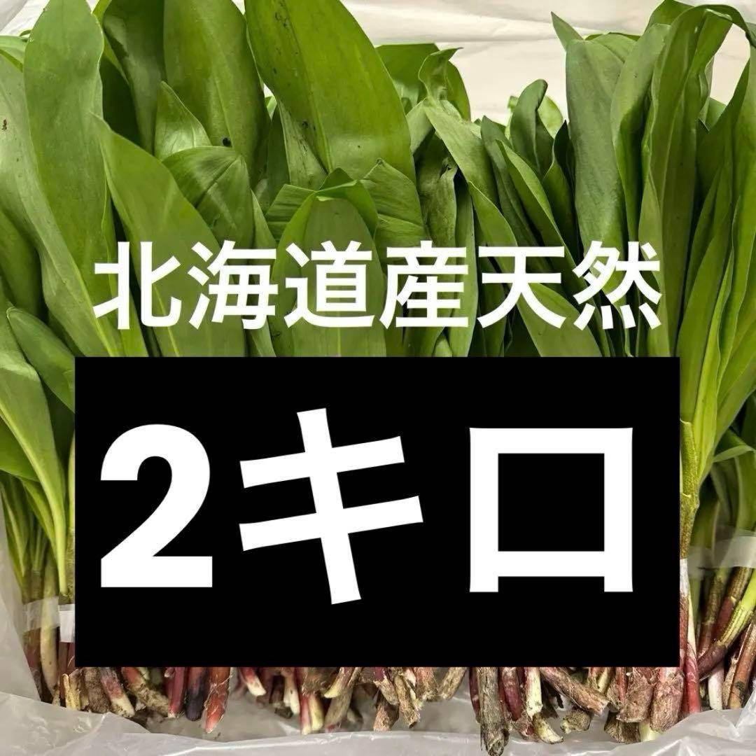 北海道天然行者ニンニク