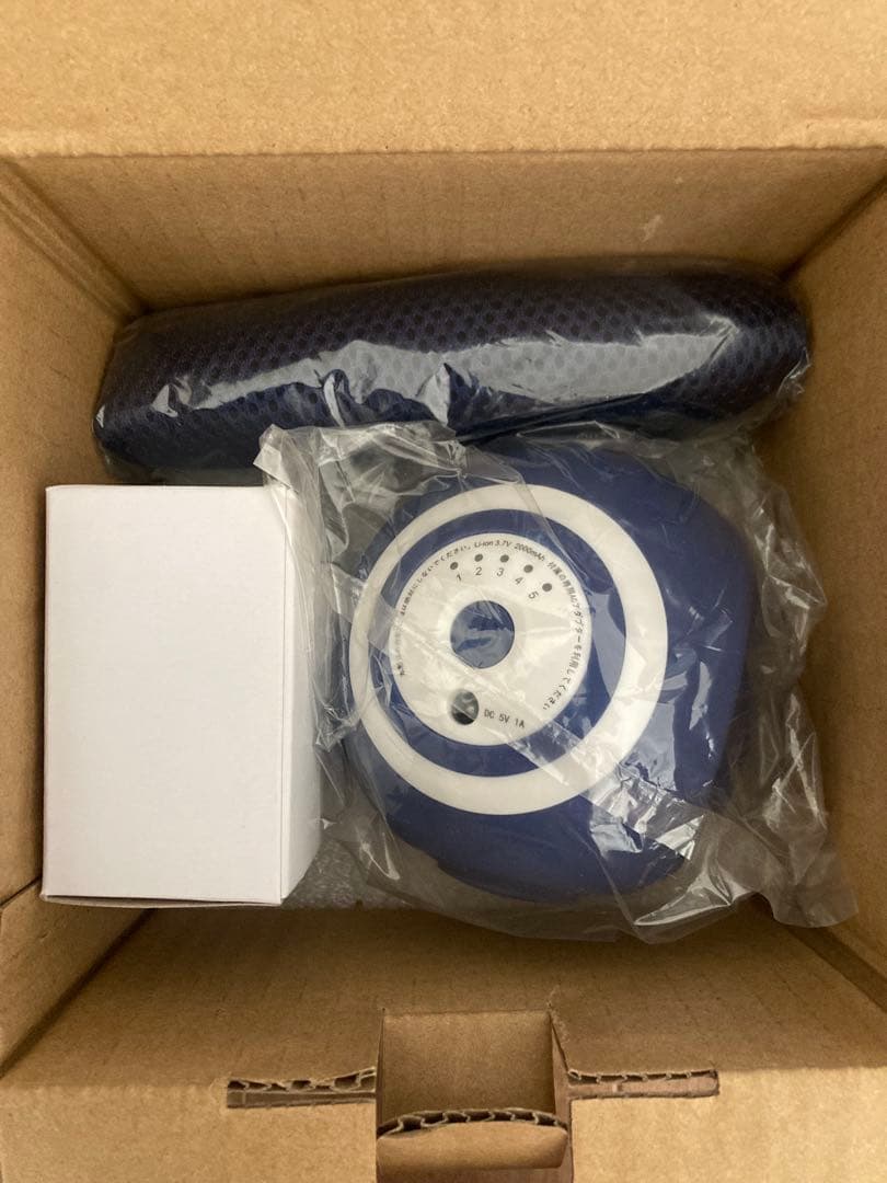 ほぼ新品　オアシス スタイリーボール青　下半身筋トレ充電式振動ボール　ダイエット