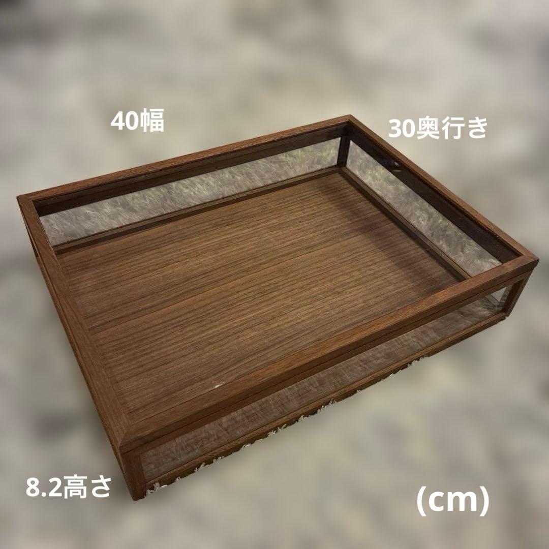 La-Luz ラ・ルース　ウォールナット ケース L ジュエリーボックス