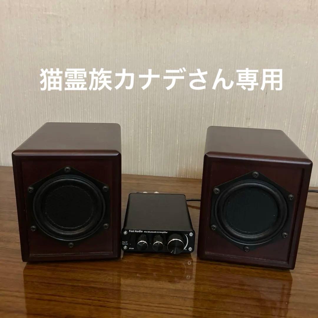 クリアサウンズ　平面スピーカー　S08