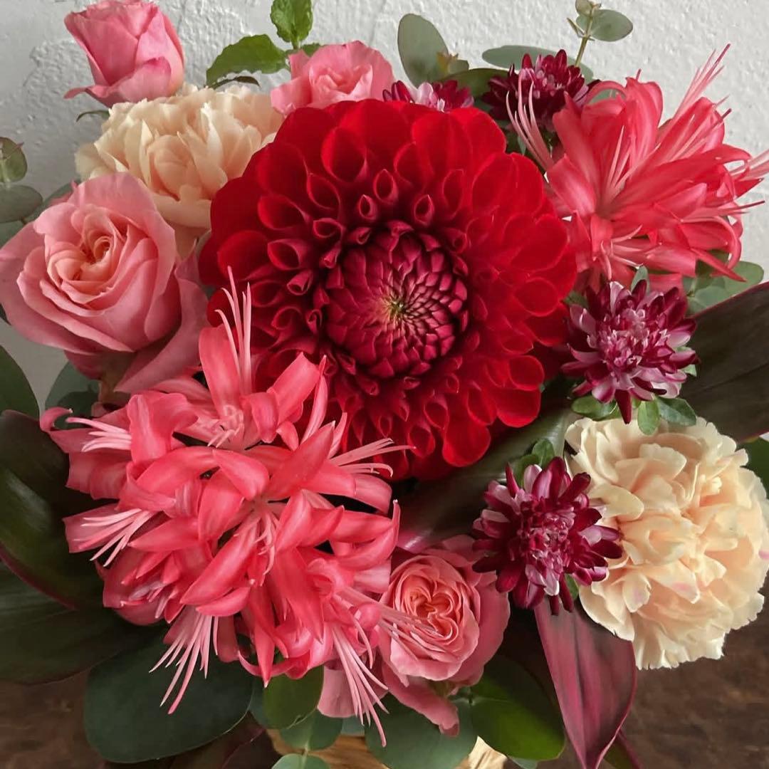 ★丸丸まんま★