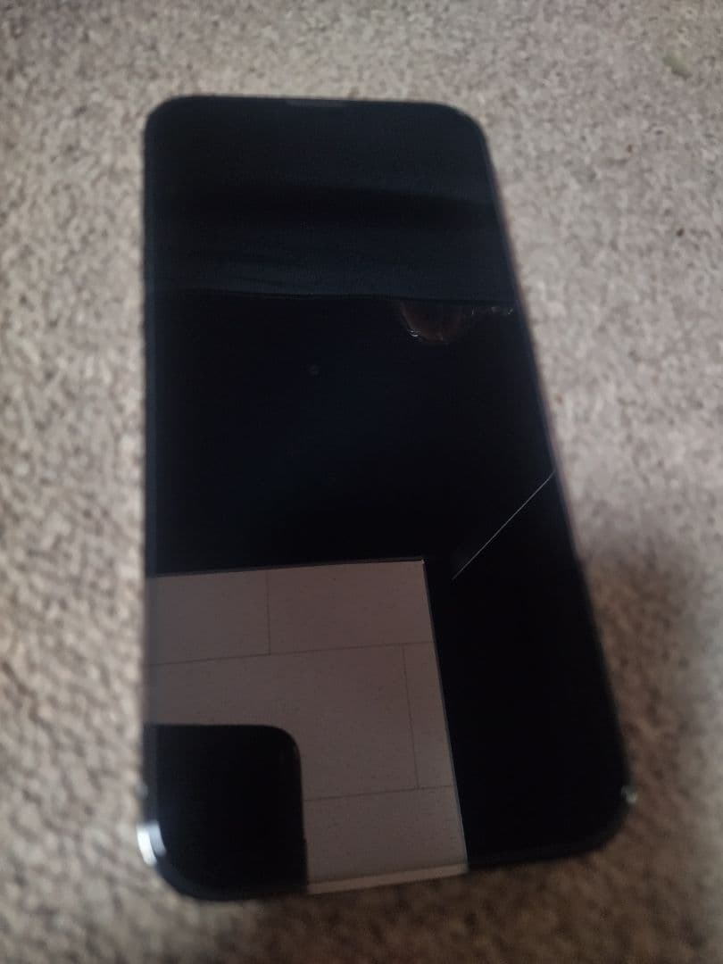 iPhone 13 Pro Max グラファイト 256GB +純正ケース