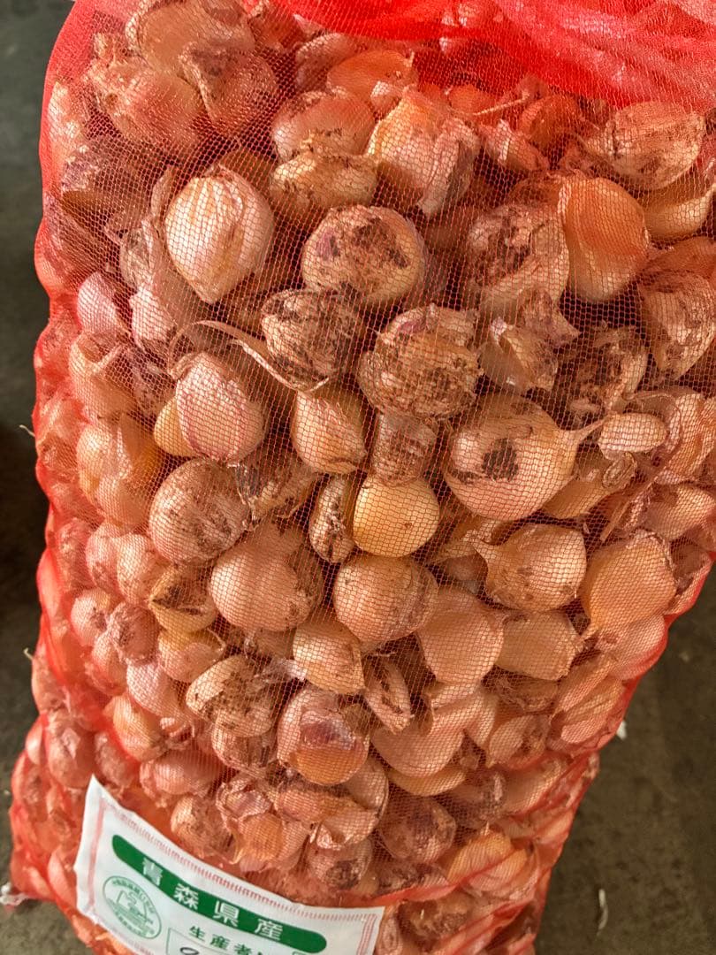 青森県バラにんにく10Kg M お買得品　ラスト