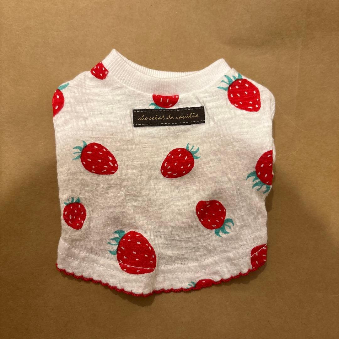 アトリエgg Tシャツ 0号　いちご柄パフスリーブ犬服