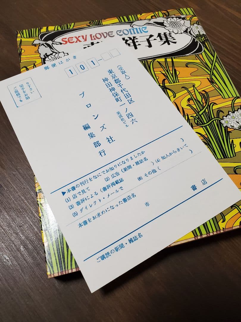 直野祥子集☆ブロンズ社