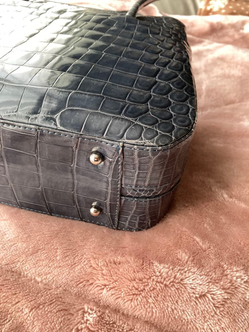 シャイニングクロコダイル　バッグ