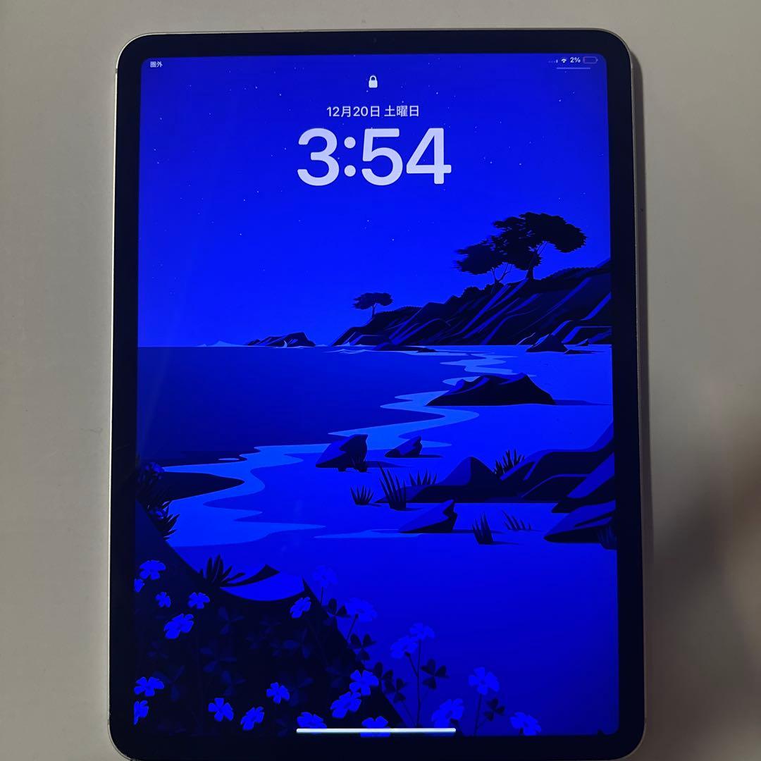 iPad Pro 11インチ　第二世代