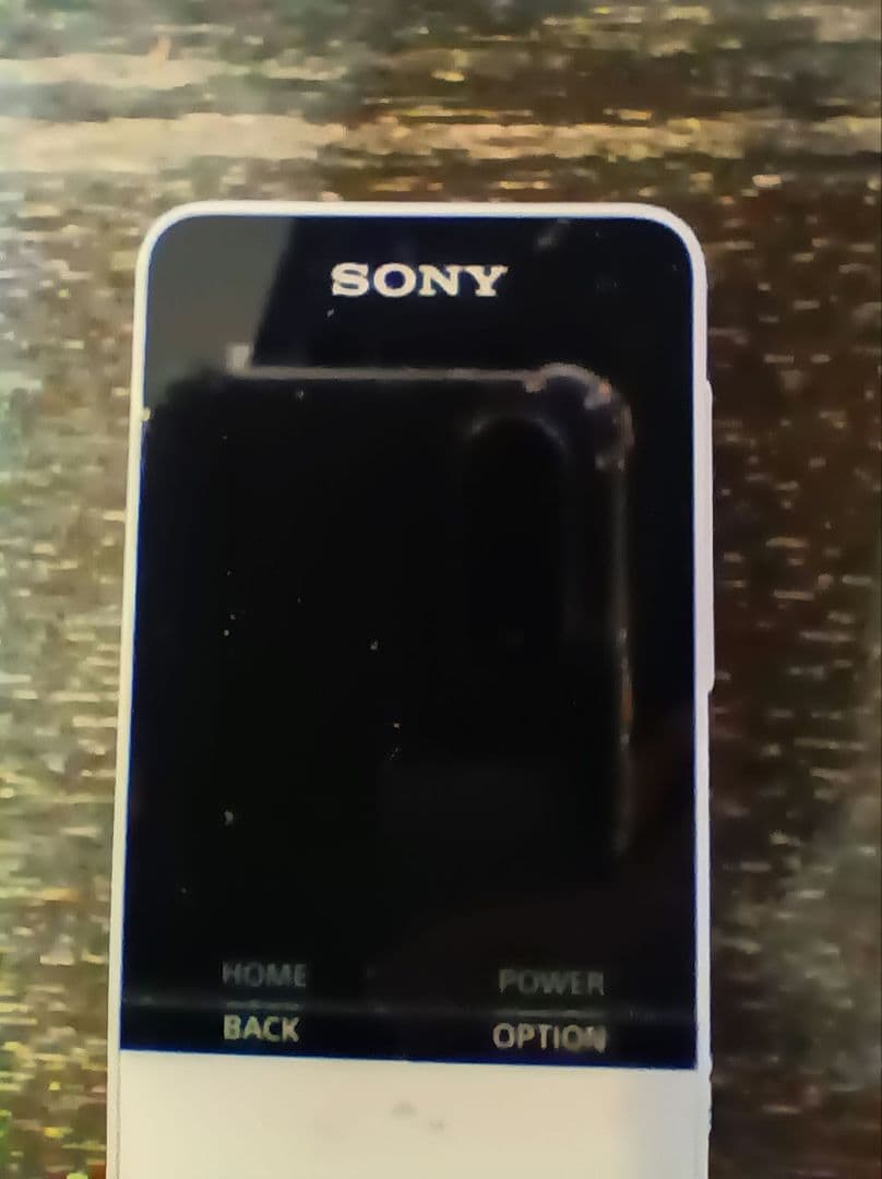 SONYウォークマンNW-S315