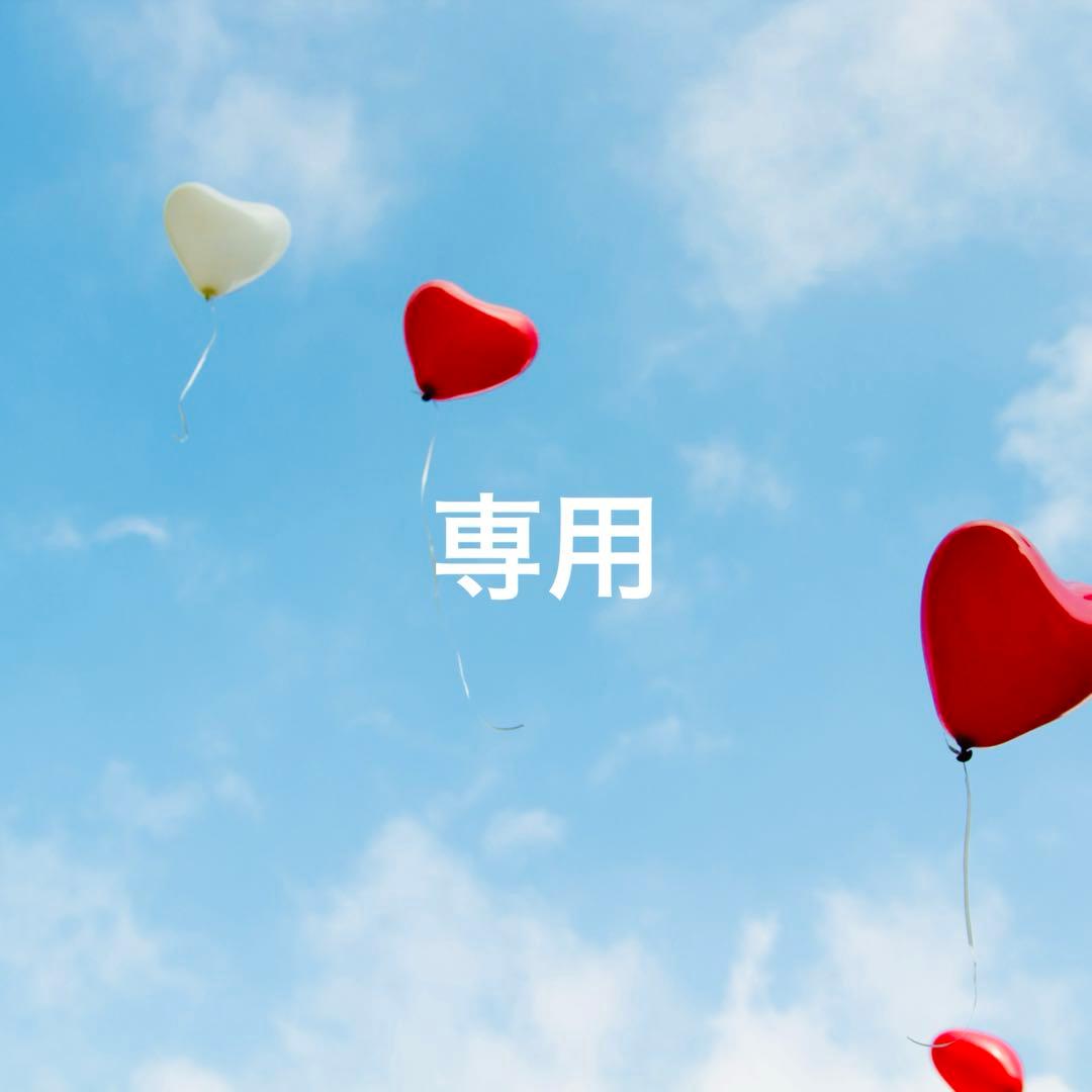 【yo-様】ニナファーム アクティアージュ プレシャス＋【2点】