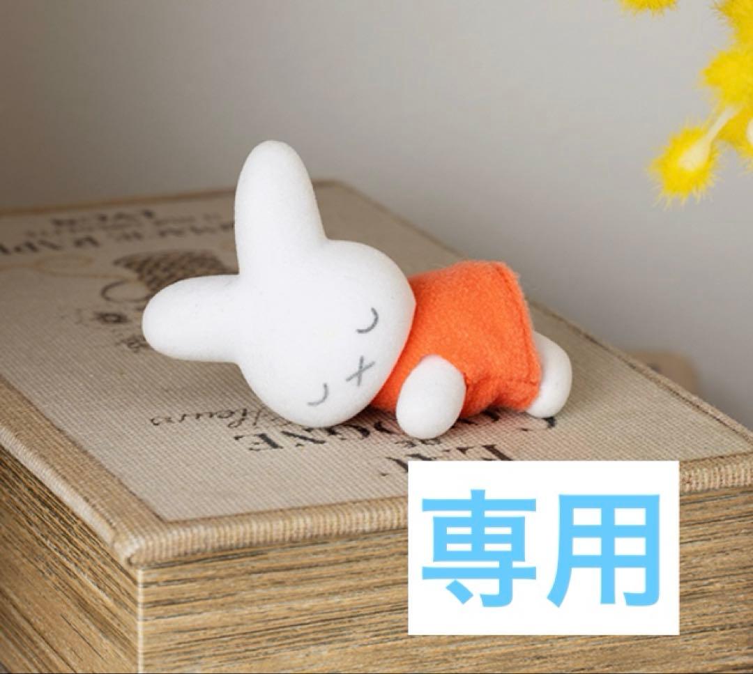 【seさま専用】