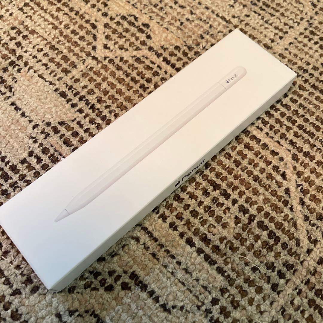 iPadアクセサリー Apple Pencil (USB-C)