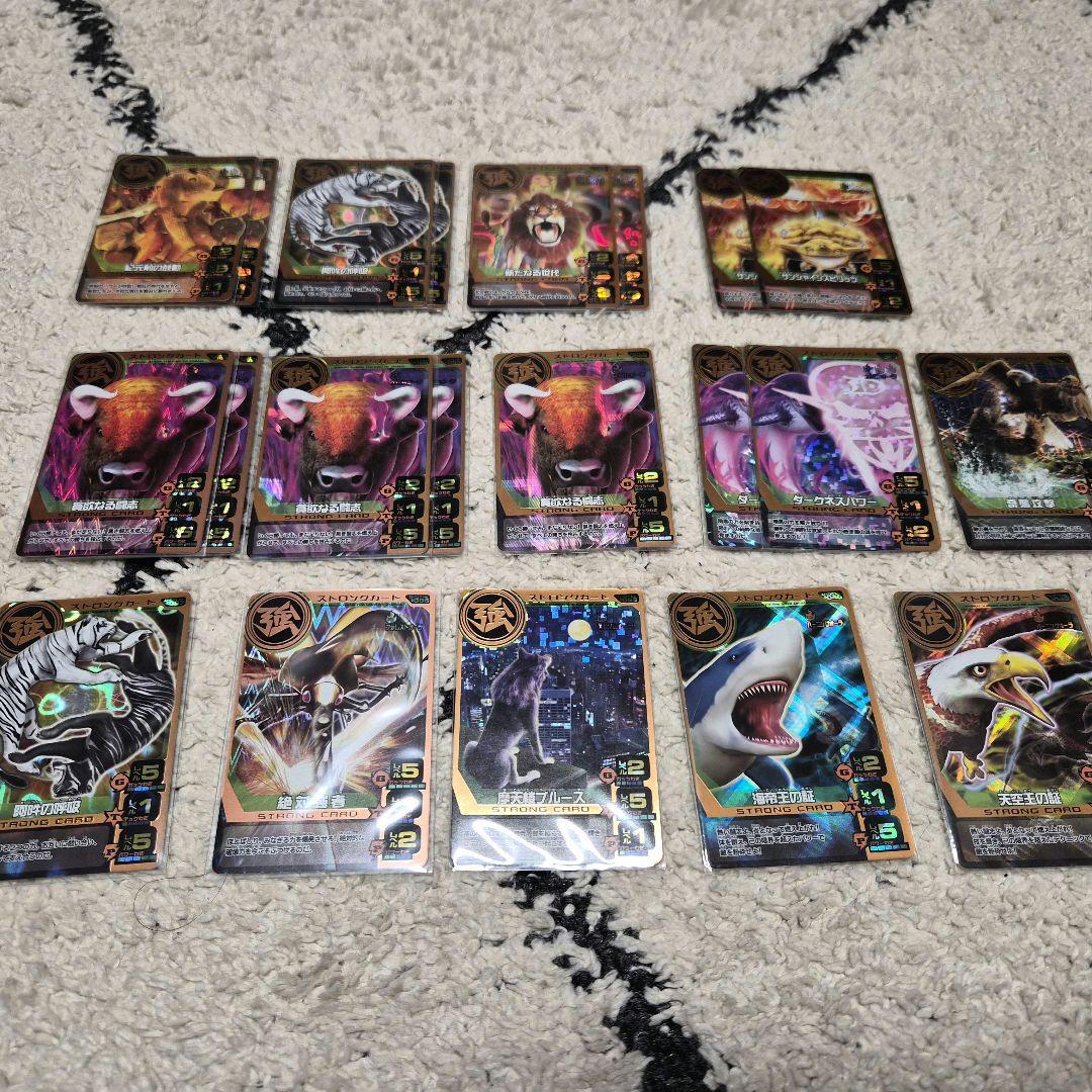 アニマルカイザー　まとめ売り　美品