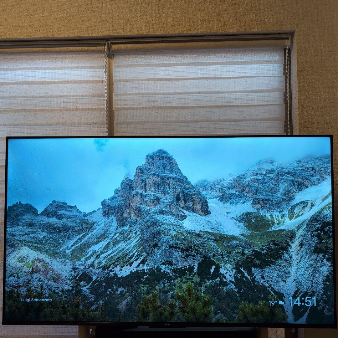 【11月9日以降発送】2024年製 55インチ TCL 55P69B 55V型