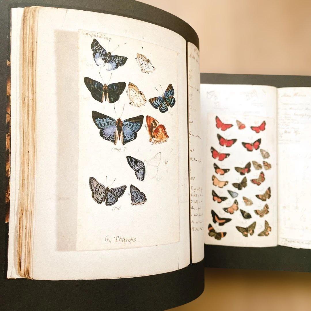 【短期出品です】冒険家たちのスケッチブック 発見と探検のリアル・グラフィックス