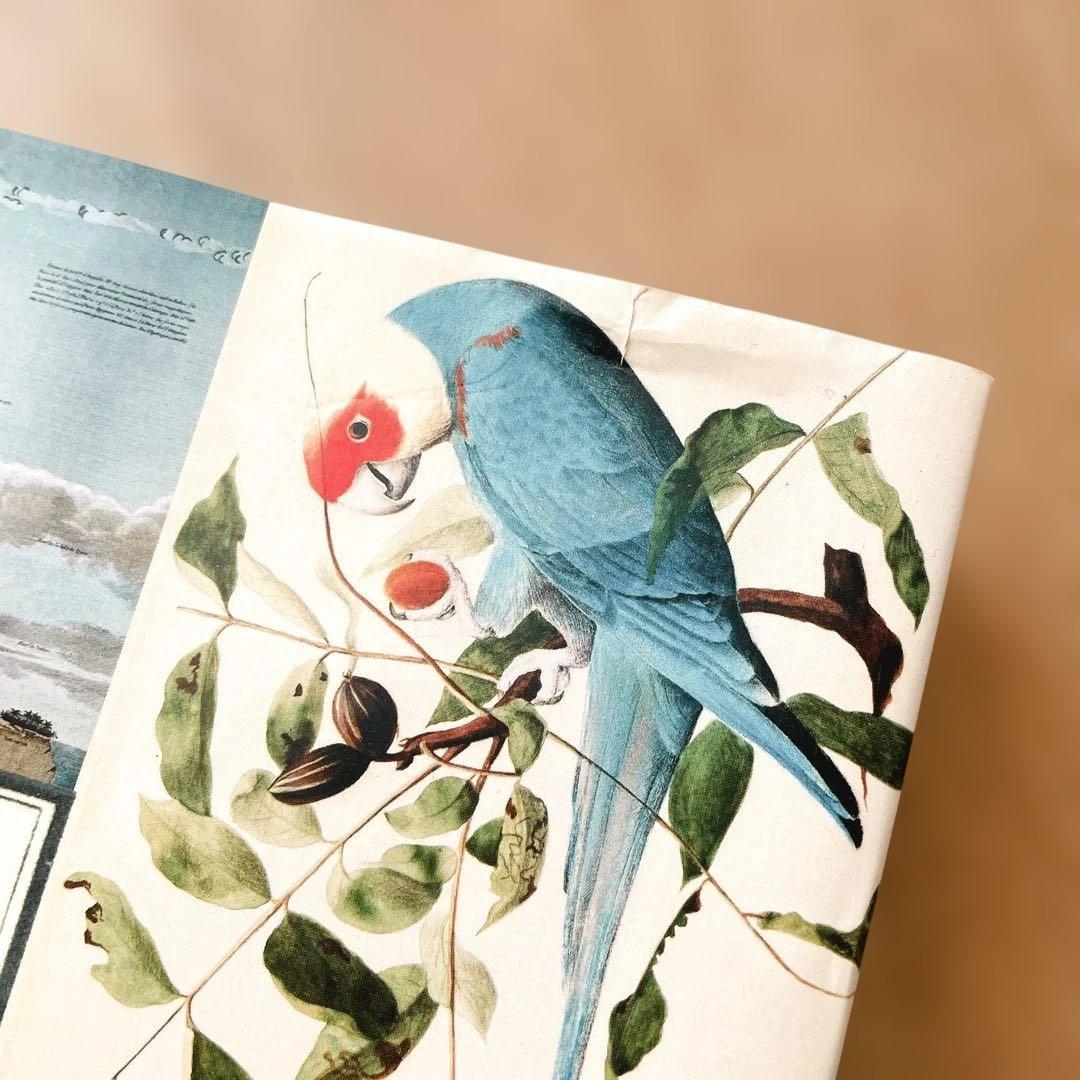 【短期出品です】冒険家たちのスケッチブック 発見と探検のリアル・グラフィックス