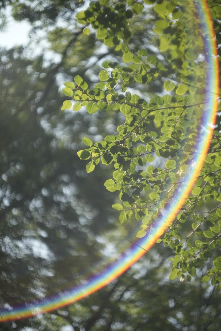 Leitz Summarit 50mm f1.5 銘玉ズミルックス直前の祖先