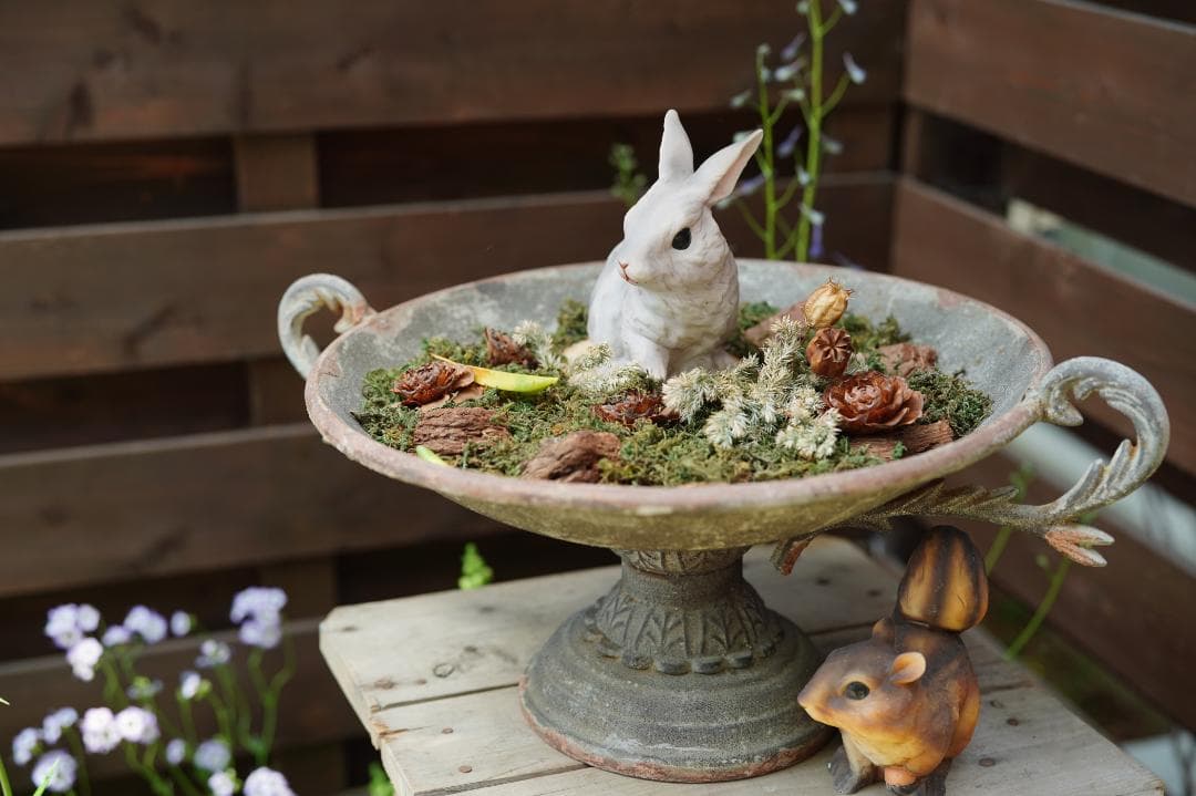 Sony FE 50mm F1.4 ZA レンズ