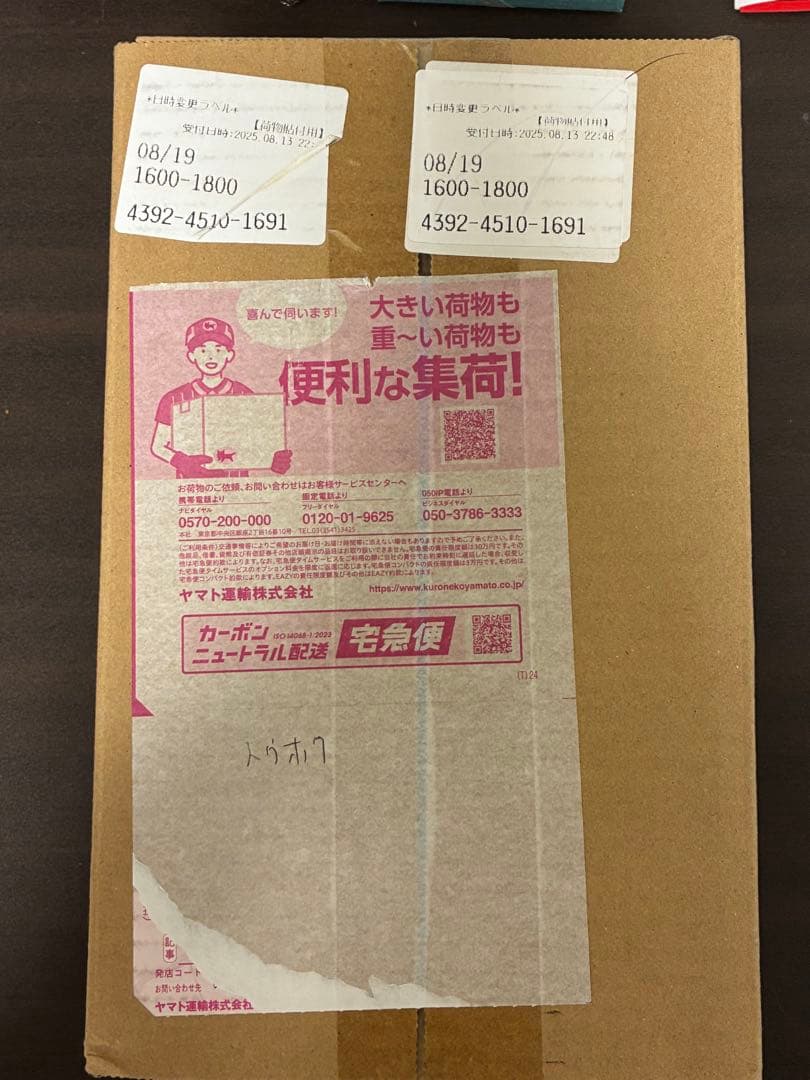 【最安値】 スペシャルBOX ポケモンセンタートウホク