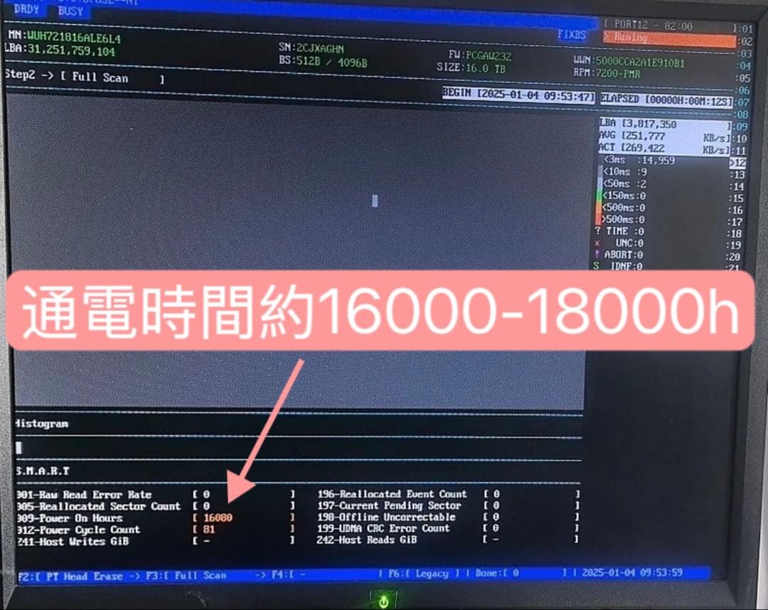 [2個セット 32TB] 大容量HDD WD 16TB HC550 3.5インチ