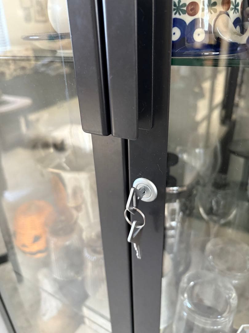 ナ*ン様 IKEA MILSBO ミルスボ コレクションケース チャコール