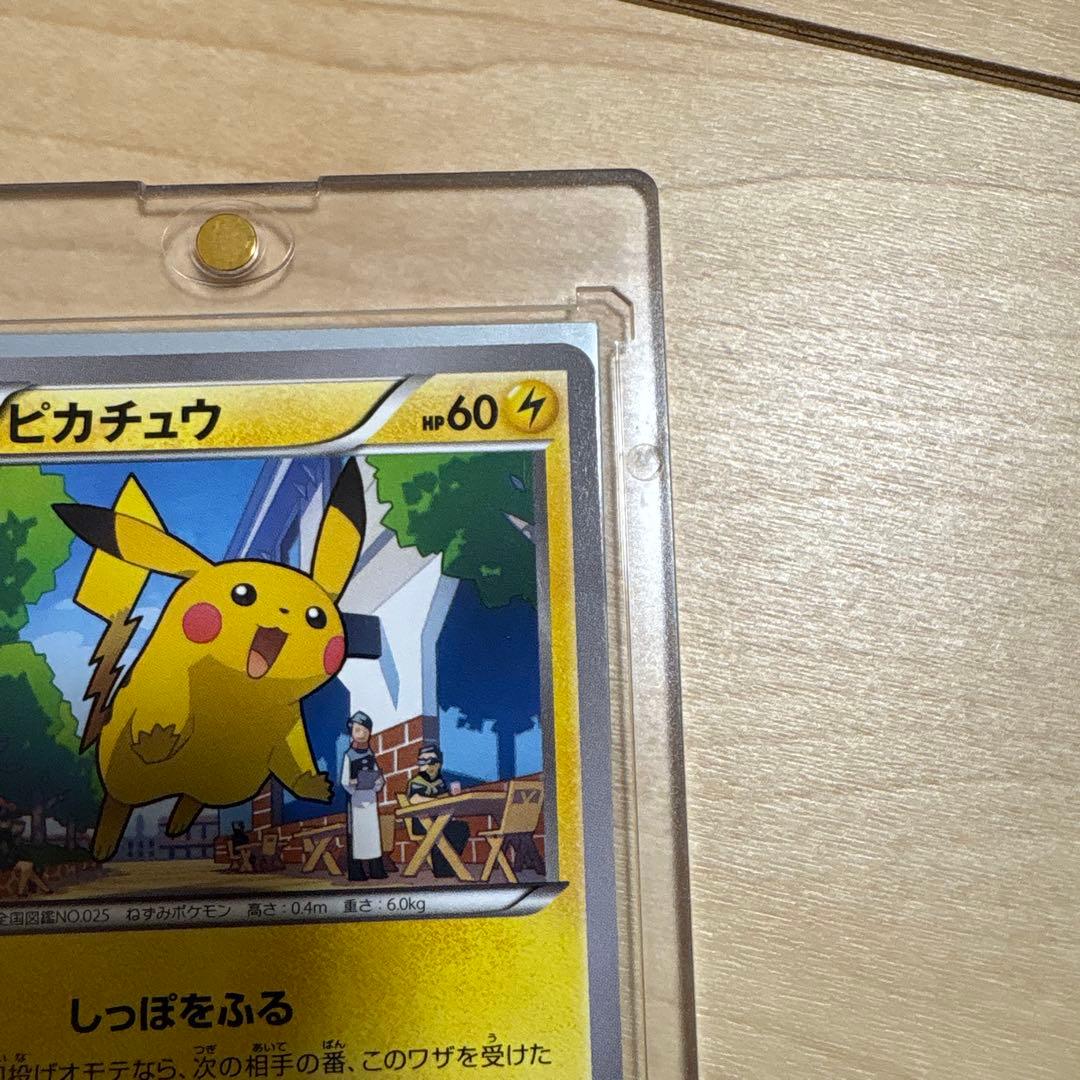 ピカチュウ PROMO XYシリーズプロモーションカード 064/XY-P
