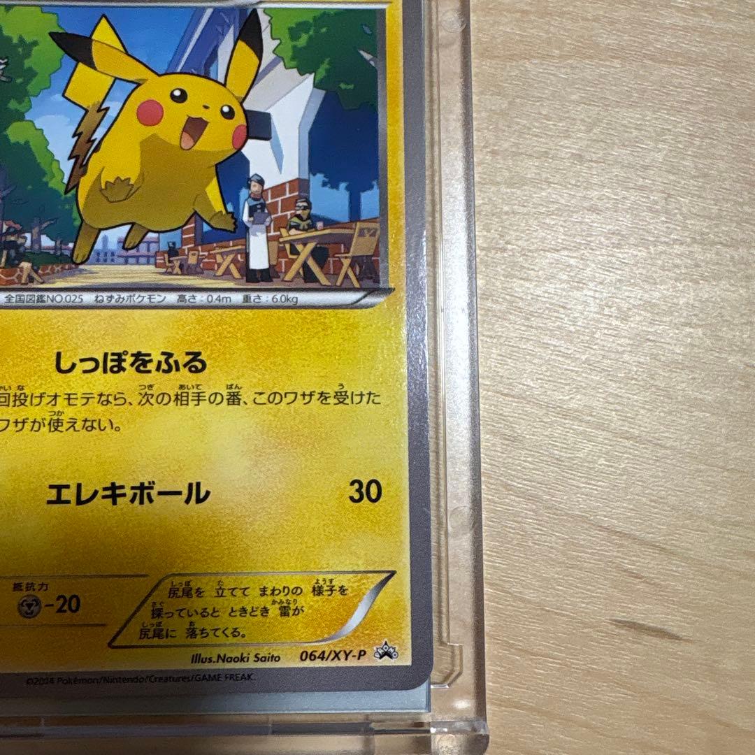 ピカチュウ PROMO XYシリーズプロモーションカード 064/XY-P