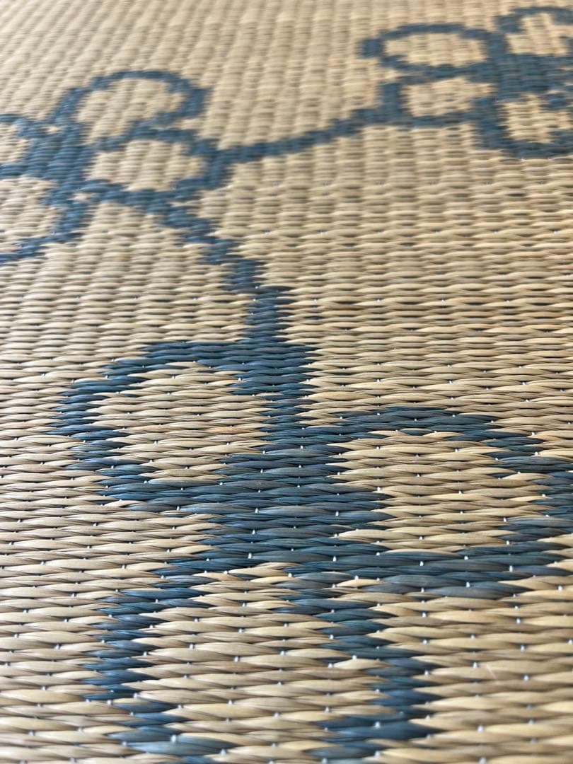 激辛フェイタス 2枚セット　ライン花 ①【訳あり特価品】ブルー ②オレンジ