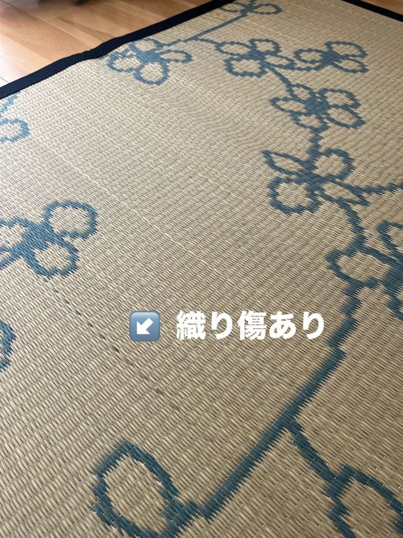 激辛フェイタス 2枚セット　ライン花 ①【訳あり特価品】ブルー ②オレンジ