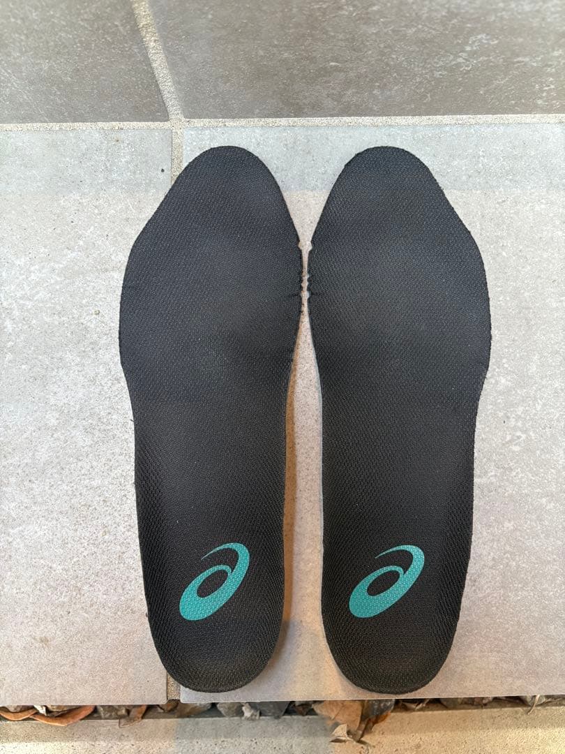 asics 安全靴 スニーカー ウィンジョブ CP219 BOA ローカット