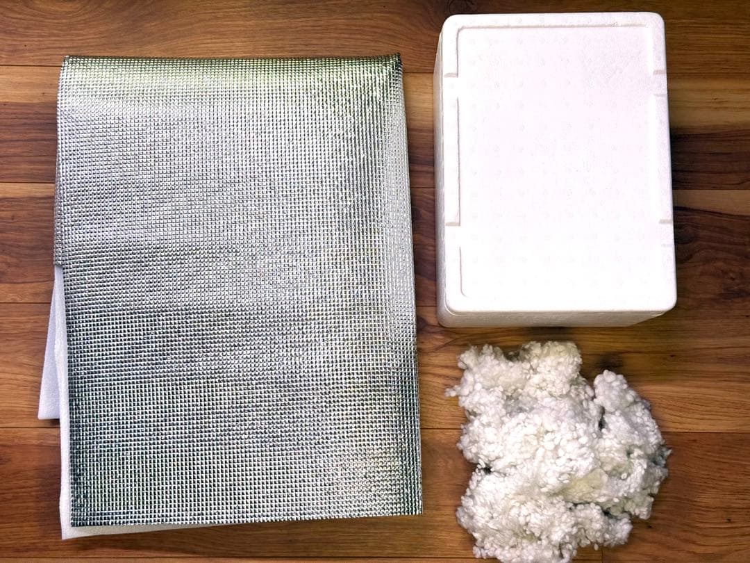 ジ*人様 Anthurium RL（JV）x “Subsignatum x FS