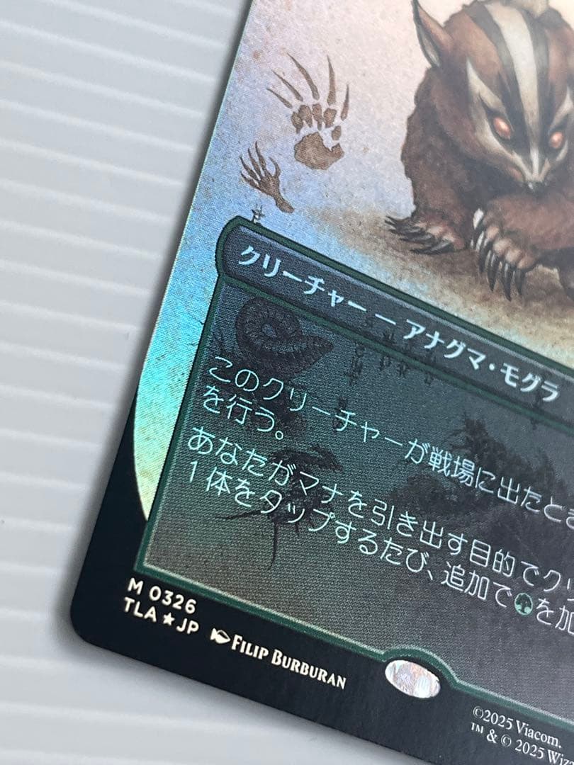 MTG アナグマモグラの仔　日本語　ボーダーレス　foil