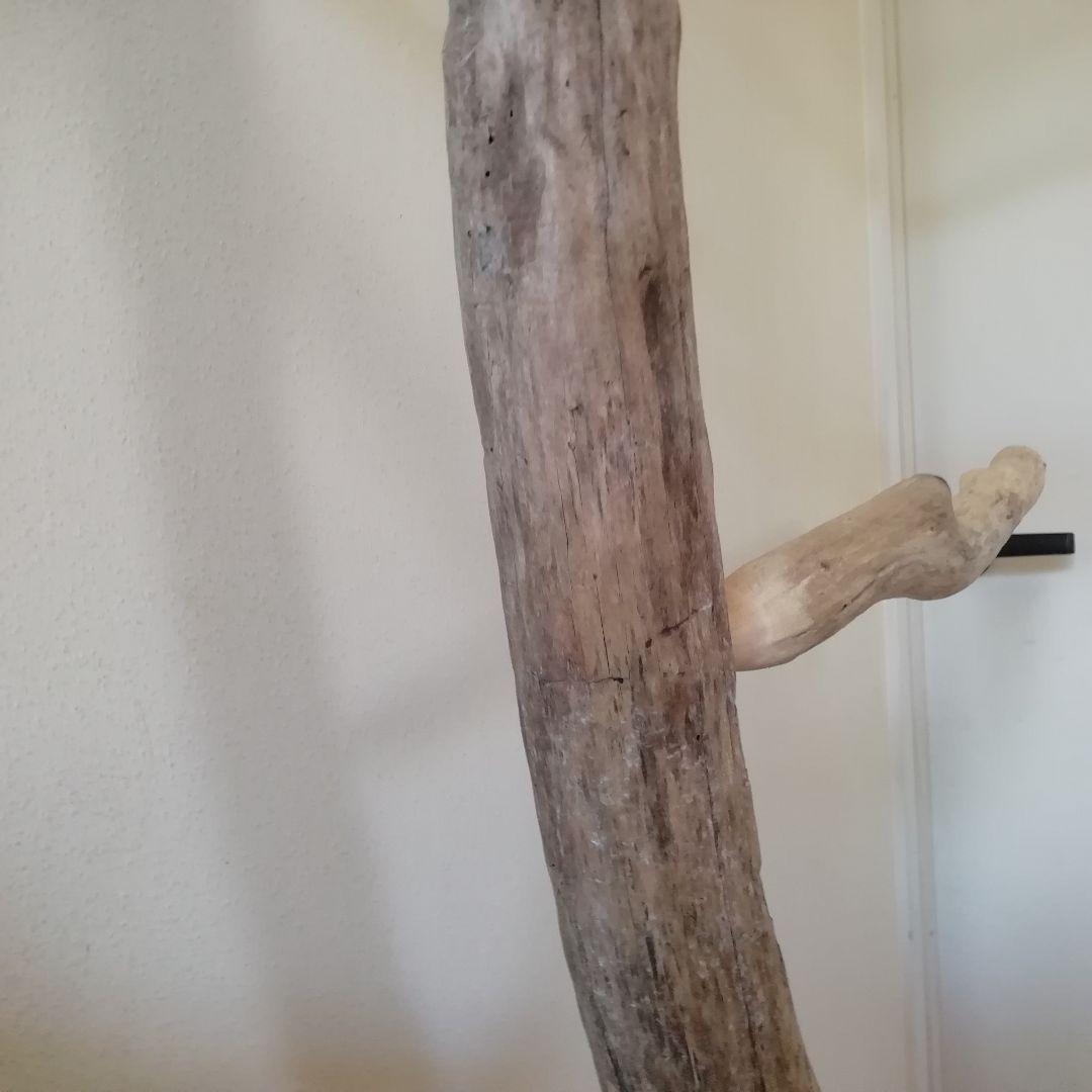 fm バードアスレチックジム 天然木 自然木 流木 止まり木 インコ