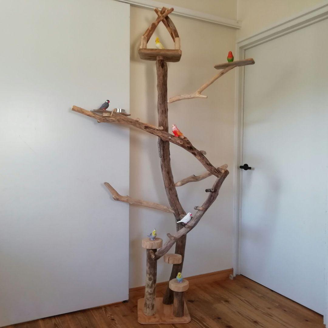 fm バードアスレチックジム 天然木 自然木 流木 止まり木 インコ