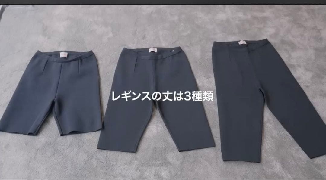 THE SHISHIKUI レギンス