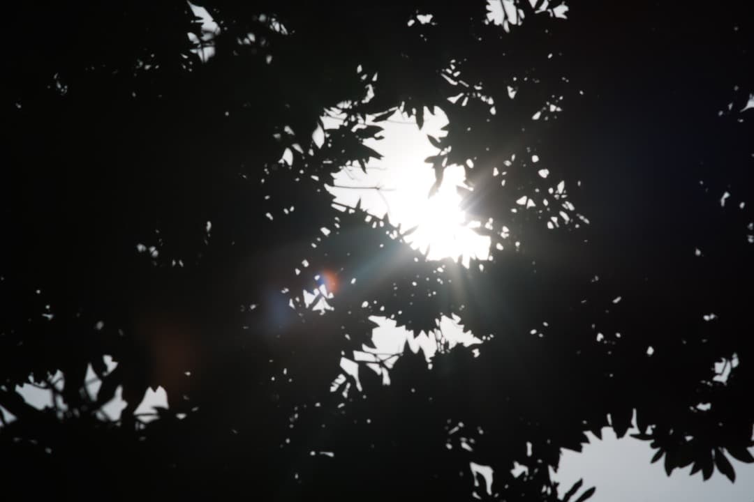 【極美品】ミノルタ MC TELE ROKKOR 135mm F2.8 212