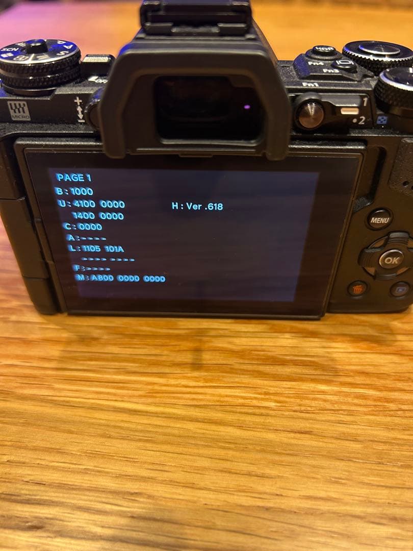 OLYMPUS OM-D E-M5 Markⅱ デジタルカメラ　望遠レンズ付き