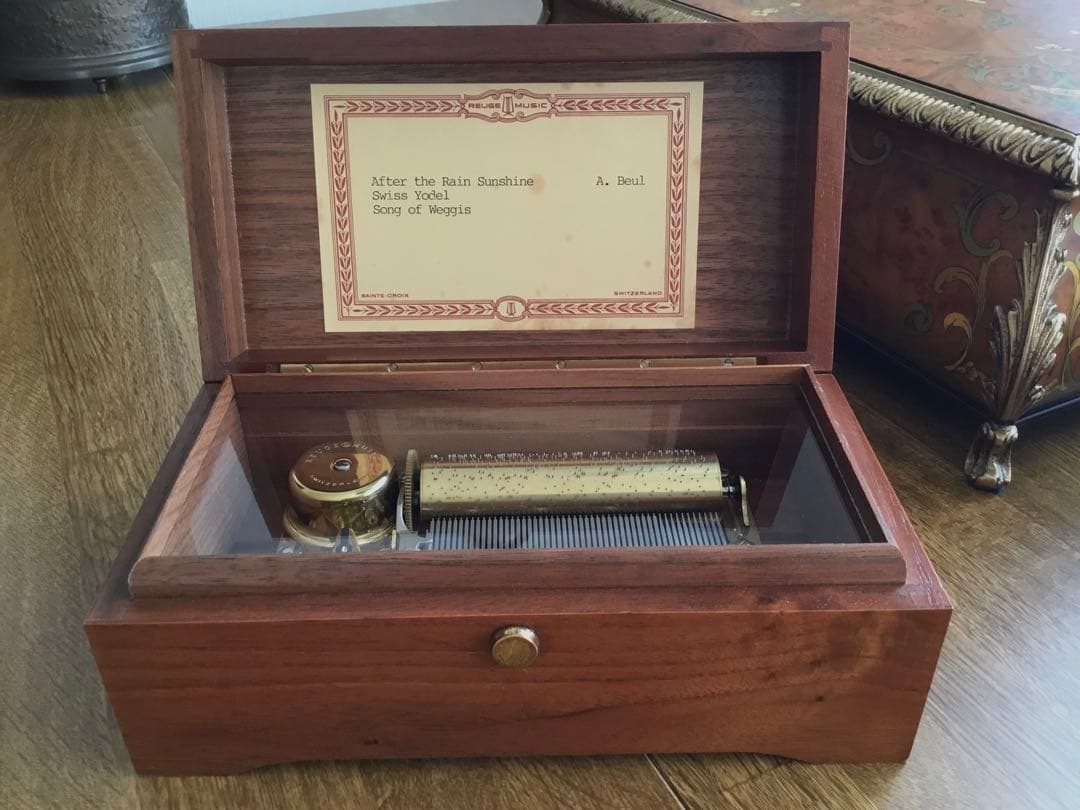 リュージュ　50弁　雨のち晴れ（アフター・ザ・レイン・サンシャイン）他3曲