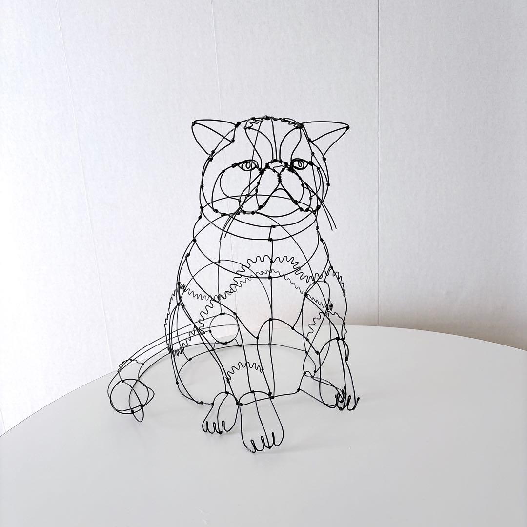 エキゾチックショートヘア　/ ワイヤーアート　ワイヤークラフト