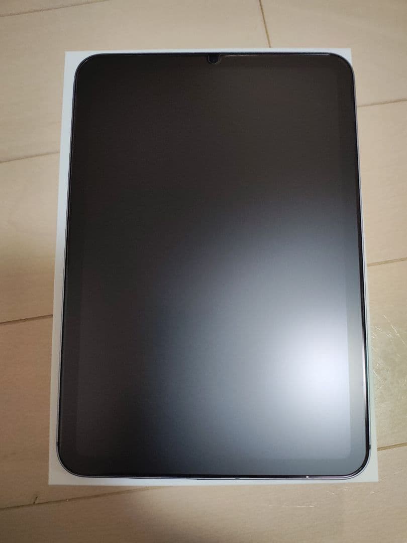 中古極上 iPad mini A17 Cellularモデル 128GB グレイ