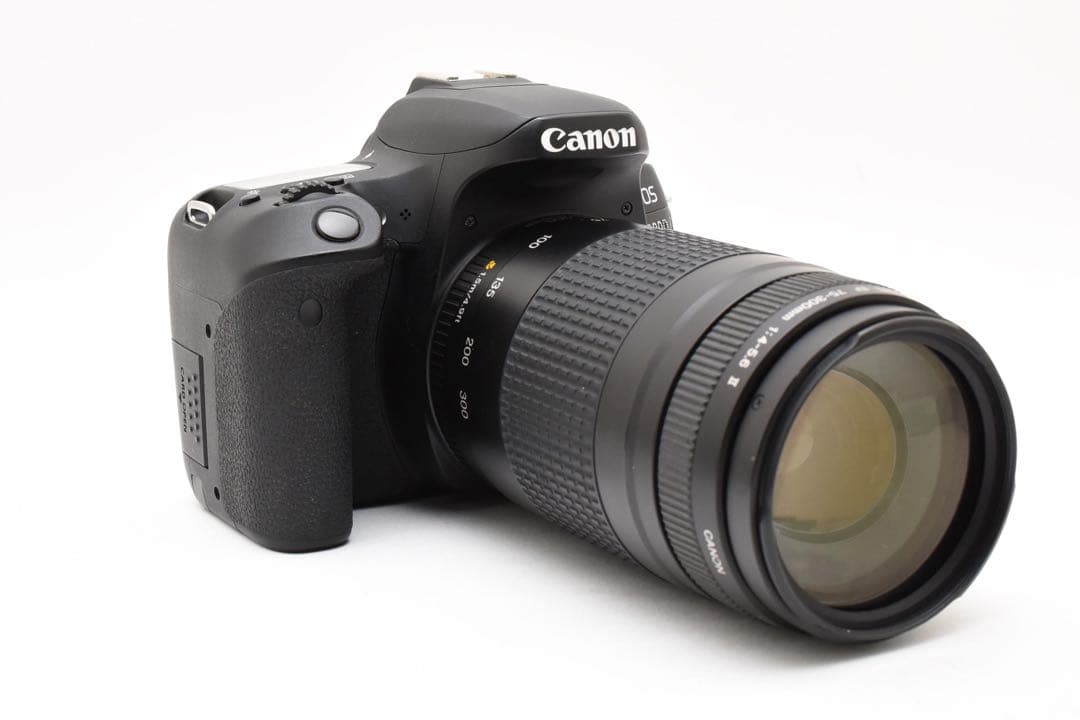 Canon EOS 9000D 望遠レンズセット/ Canon EF75-300