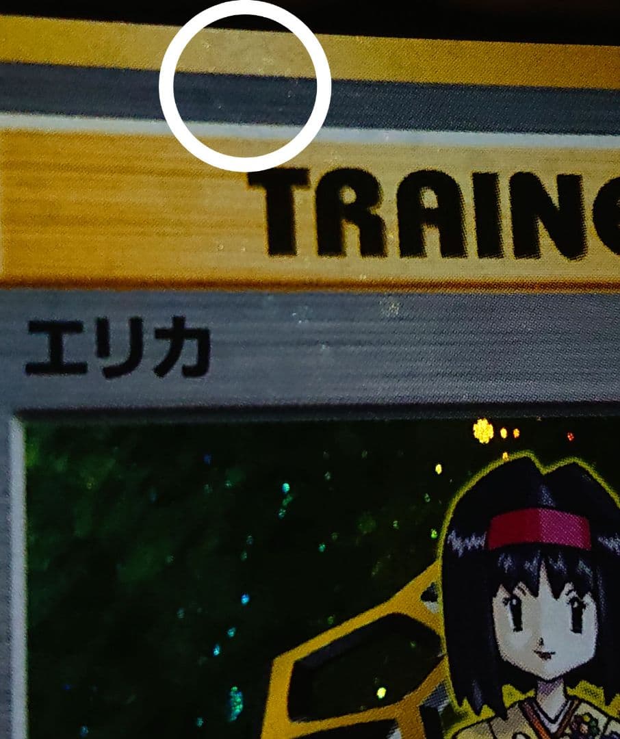 全面ホロ　ジムリーダー8枚complete